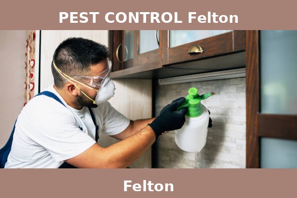 PEST CONTROL Felton